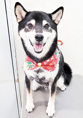 本田つの太ちゃん