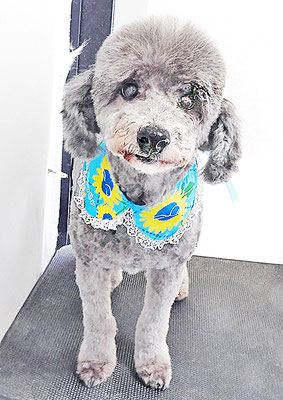 橋口最中ちゃん