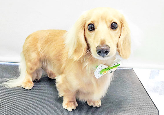 河野元気ちゃん