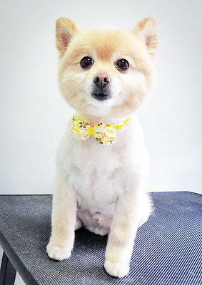 徳留クマちゃん