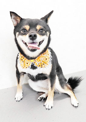 中尾あんずちゃん