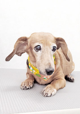 別府モモちゃん