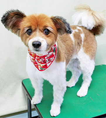 玉利ゆずちゃん