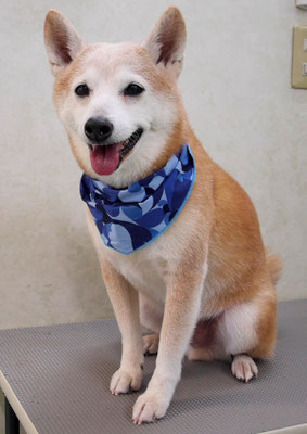 有馬コタロウちゃん