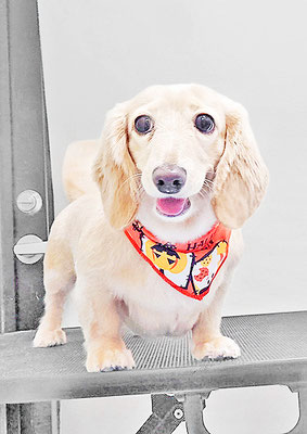 松村エルちゃん