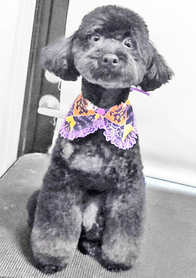 野口サニーちゃん