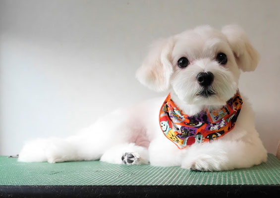 高橋まるちゃん