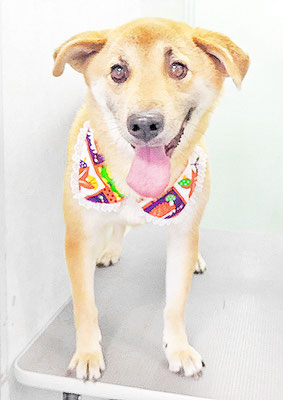 水口ラッキーちゃん