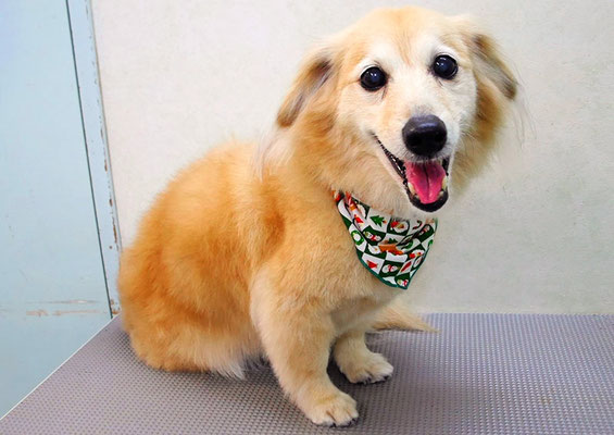 江口エルちゃん