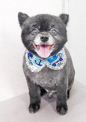 中村ウルルちゃん