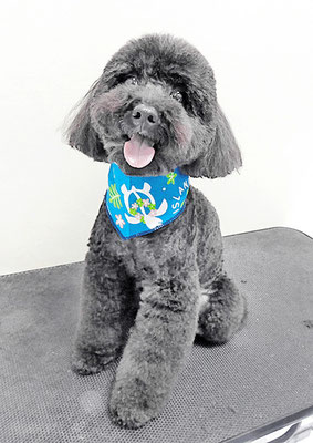 本坊ダノちゃん