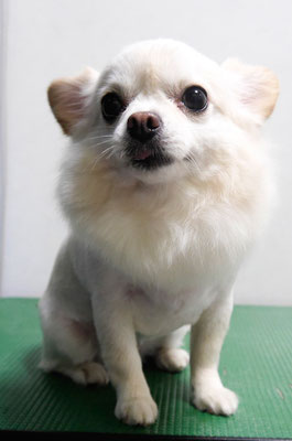 森崎ヒメちゃん