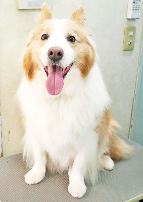 森本アンズちゃん