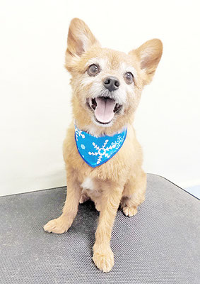 助村ルウちゃん