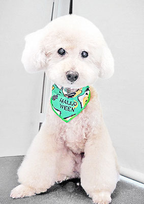 濱村小太郎ちゃん