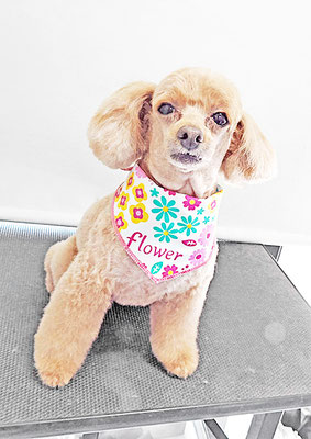 森崎ネネちゃん