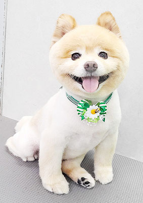 中間小次郎ちゃん