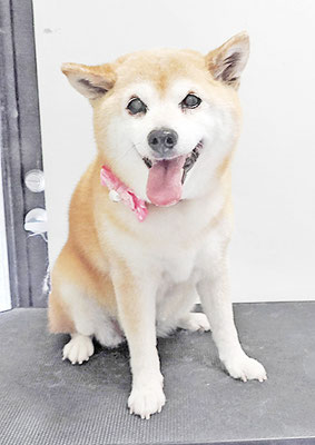 小田ハルちゃん