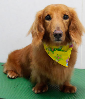 神代クリンちゃん