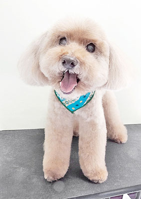 米澤ミントちゃん