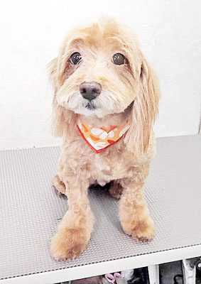 松尾かいちゃん