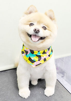 中間小次郎ちゃん