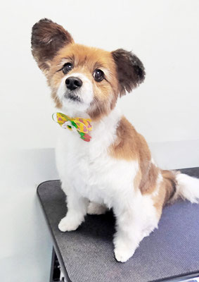 玉利ゆずちゃん