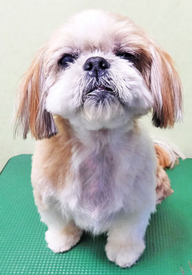 堂園ロンちゃん