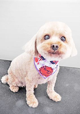 猿川リルちゃん