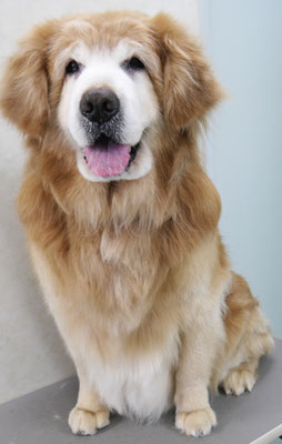 柏木ハクちゃん