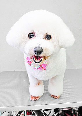 内田おもちちゃん