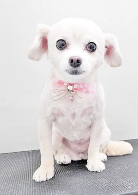 酒井ひなちゃん