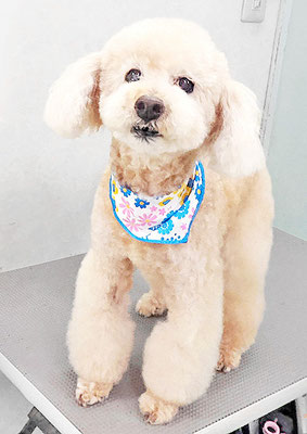 濱村小太郎ちゃん