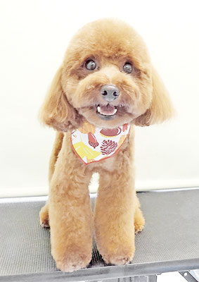 大山弦之介ちゃん