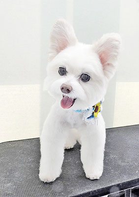 中村ココちゃん