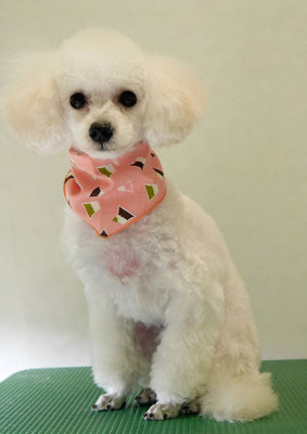 梶原ユキちゃん