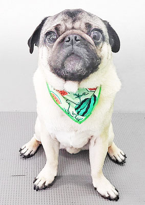 田邊ギンちゃん