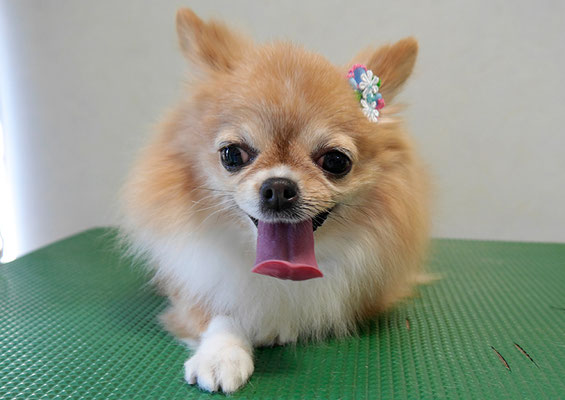 川田オカンちゃん