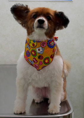 玉利ユズちゃん