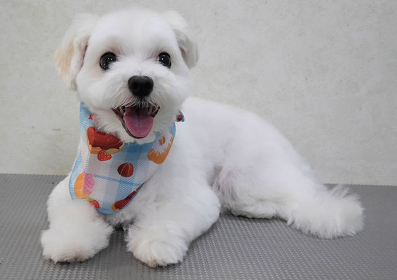 高橋まるちゃん