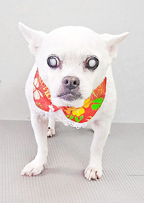 新山ランちゃん