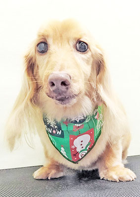 前薗パルちゃん