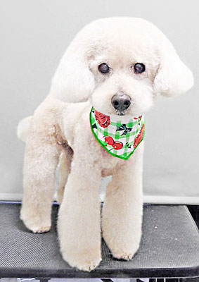 濱村小太郎ちゃん