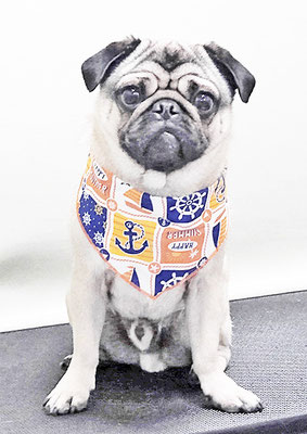 田邊ギンちゃん