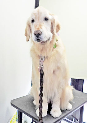 美代ジューンちゃん