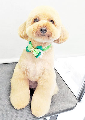 有村コタロウちゃん