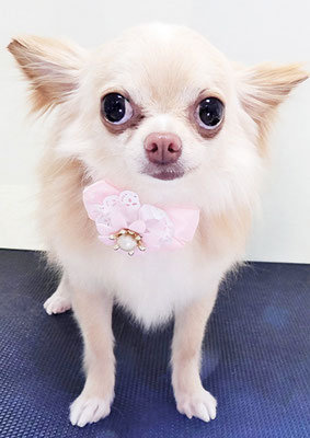 西見ももちゃん