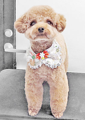 二見りくちゃん