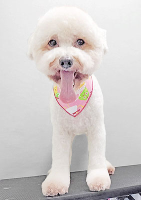 石元ぽちゃちゃん