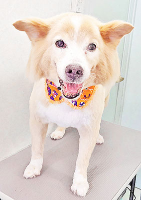 田崎くじらちゃん